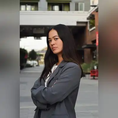 张枫